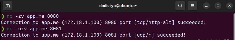 Shell /posts/kubernetes-gateway-api/demo-tcp-udp-test.png